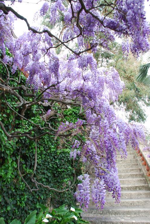 Villa della Pergola Relais et Chateaux Alassio Esterno foto