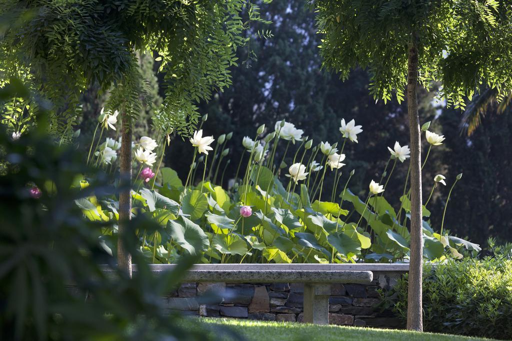 Villa della Pergola Relais et Chateaux Alassio Esterno foto