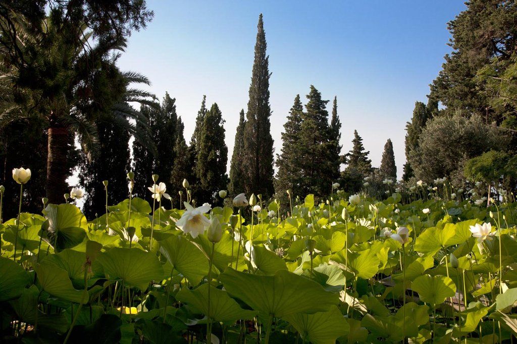 Villa della Pergola Relais et Chateaux Alassio Esterno foto